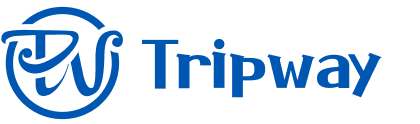 logo icon